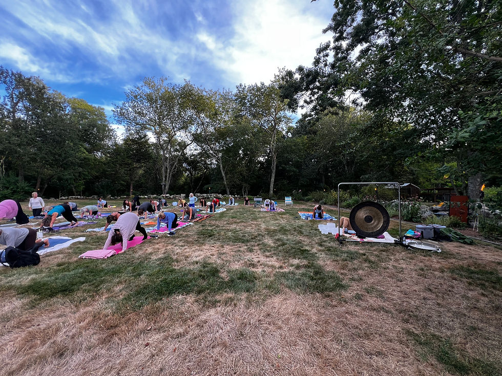Beautiful Yogis, Beautiful Sky