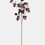 Thumbnail: Burgundy Berried Eucalyptus