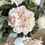 Thumbnail: Deluxe Blush Real Feel Hydrangea