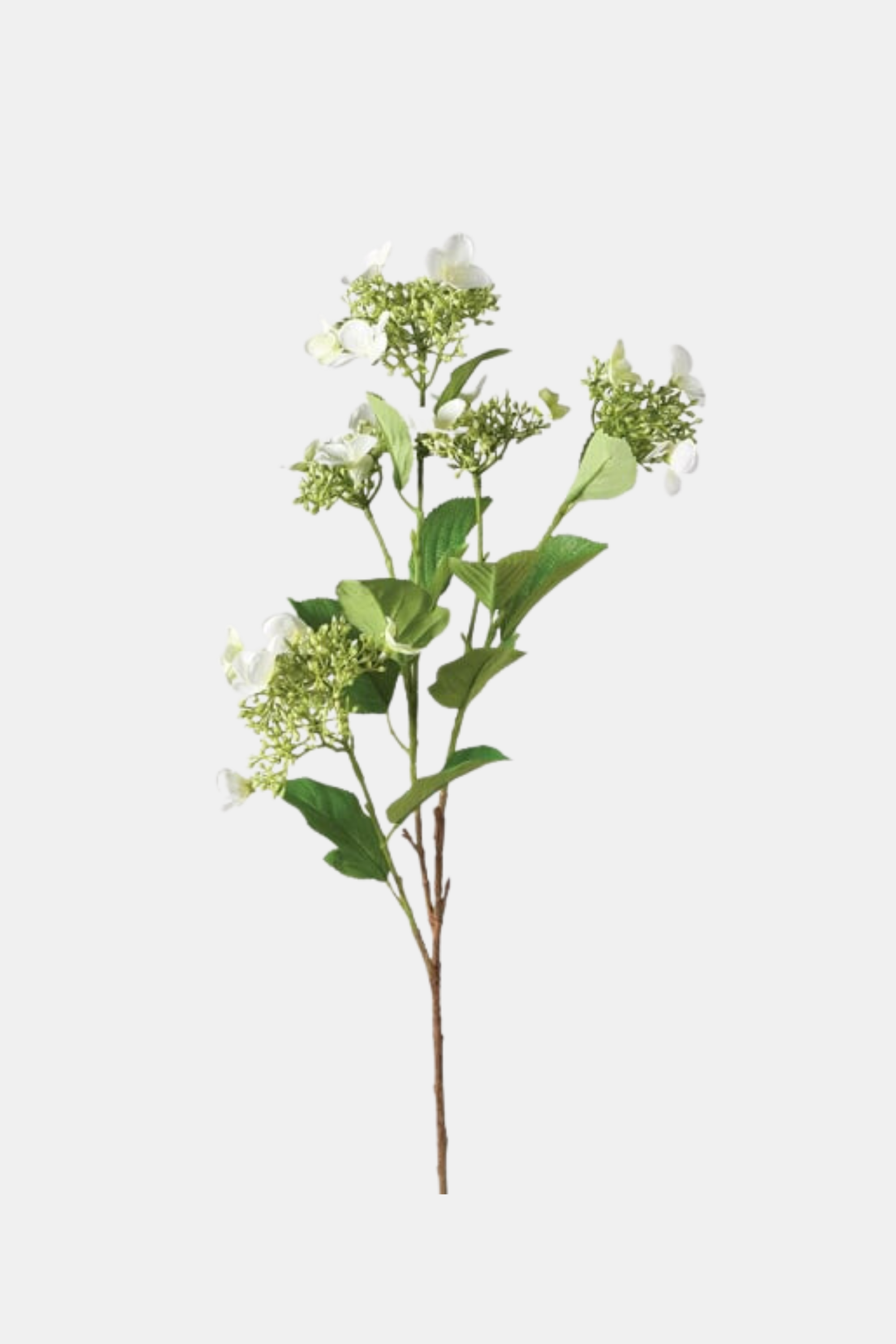 Viburnum Spray