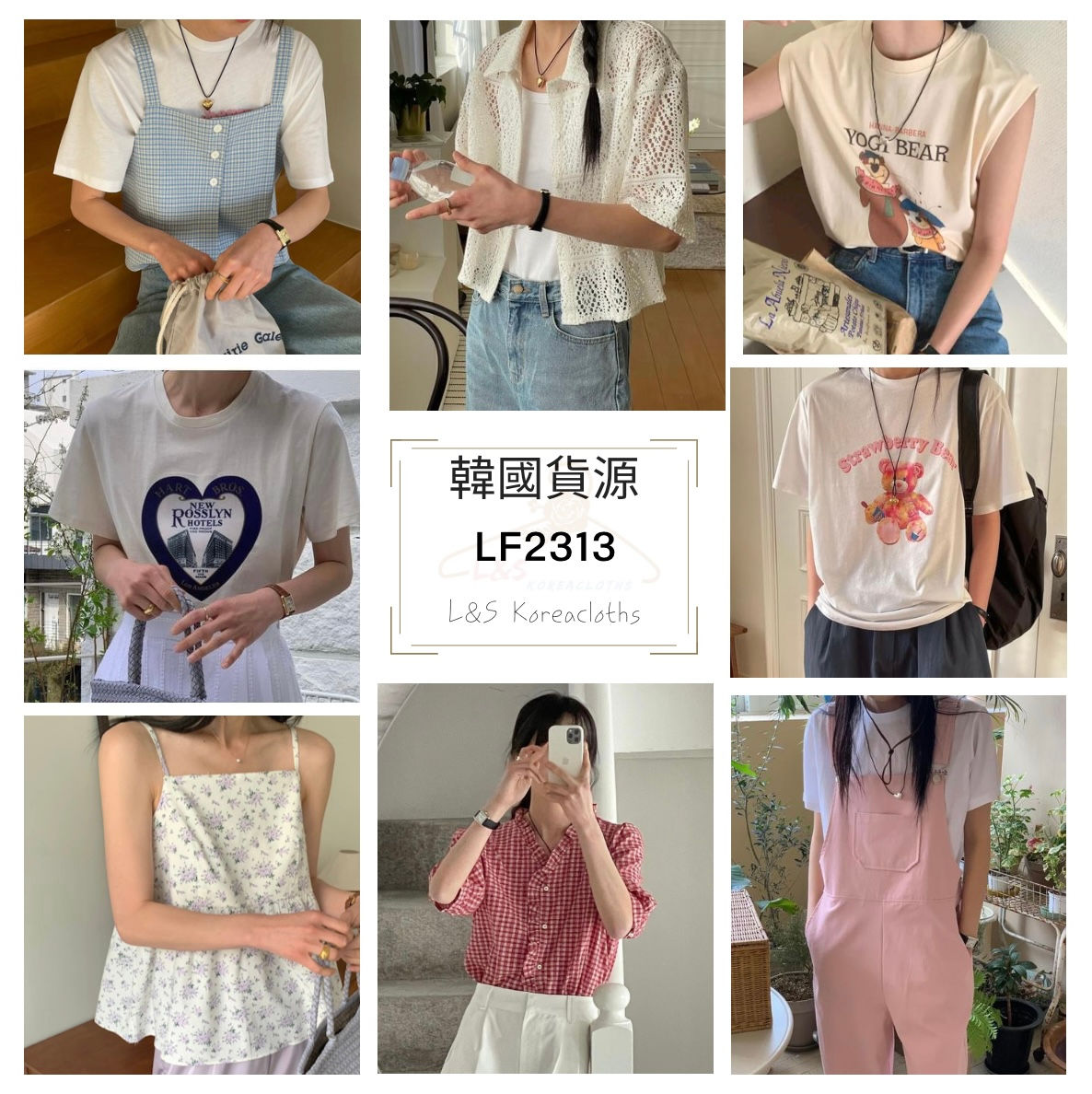 LF2313