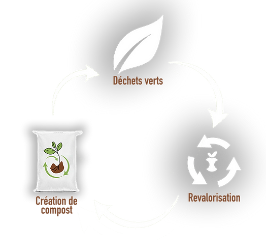 Schéma de la revalorisation des déchets verts chez Abeille Compost 87