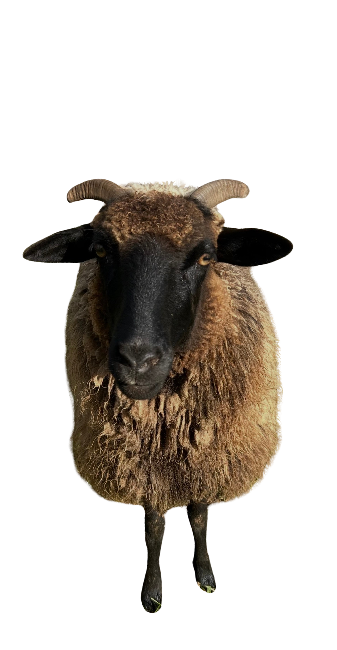 e40c0aa7-87a1-41a0-b898-3e3f299dd29e.png