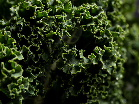 Steamed Kale with Daikon