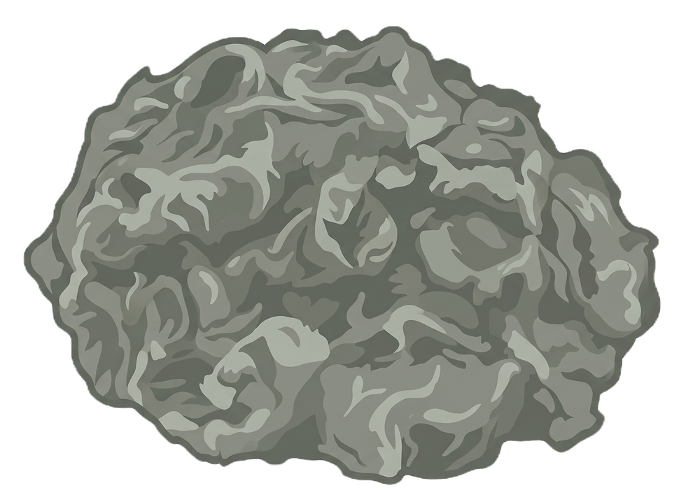ground lamb_edited.png