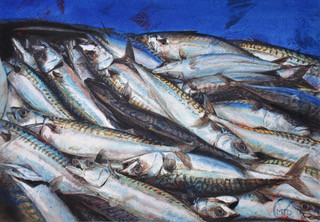 Mackerel, watercolour & mixed media 36x
