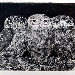 Little Owls Sheila Roberts.....jpg