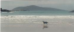 Cape Clear from Sherkin, Ireland