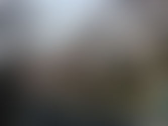 ハイランドの桜