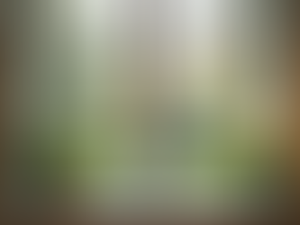 Enhance Your Home’s Appeal with Residential Window Cleaning