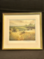 David Dipnall ~ Nature Field Print ~ 25/350