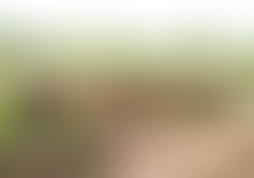 Decorrência da má utilização do solo na agricultura