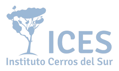 LOGO ICES.png