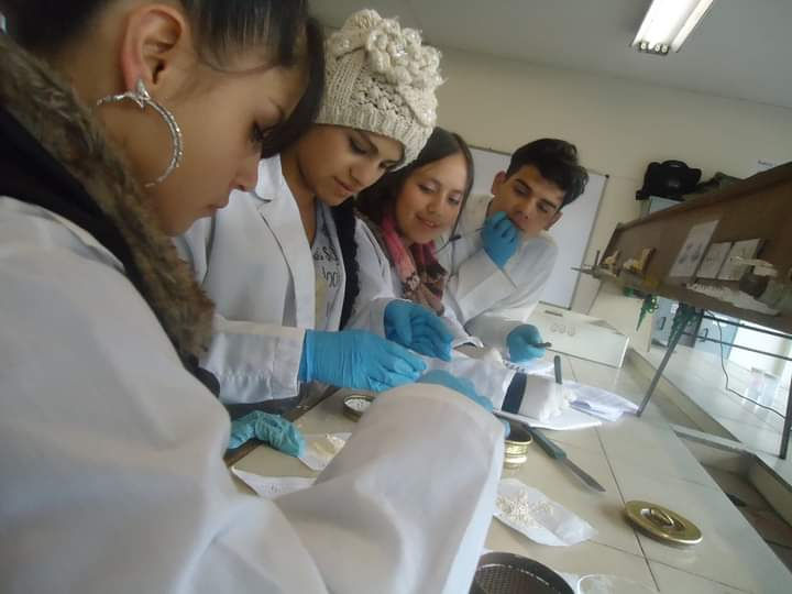 Ciencias4.jpeg