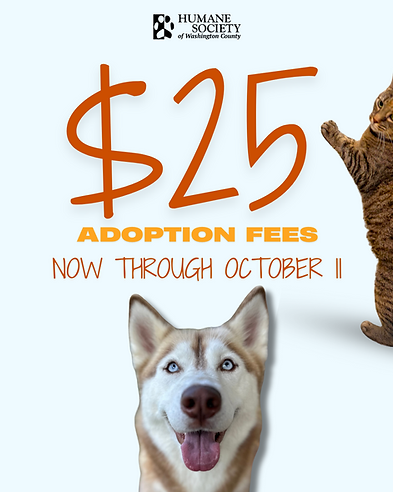 $25 ADOPTION FEES (2).png
