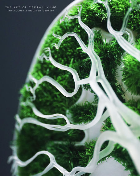 Microcosm Bioart by TerraLiving - Prototype
