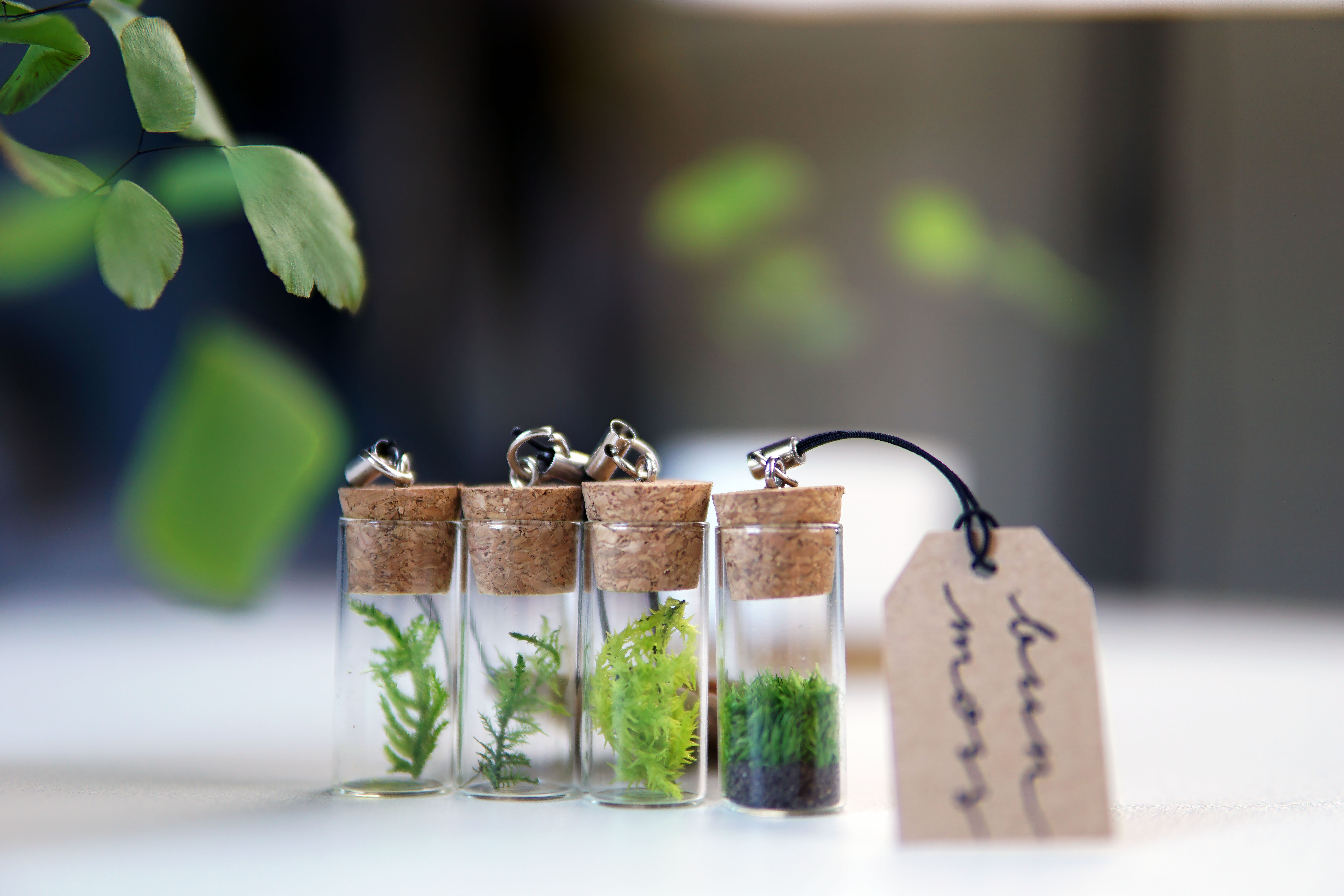 the EcoTube Mini