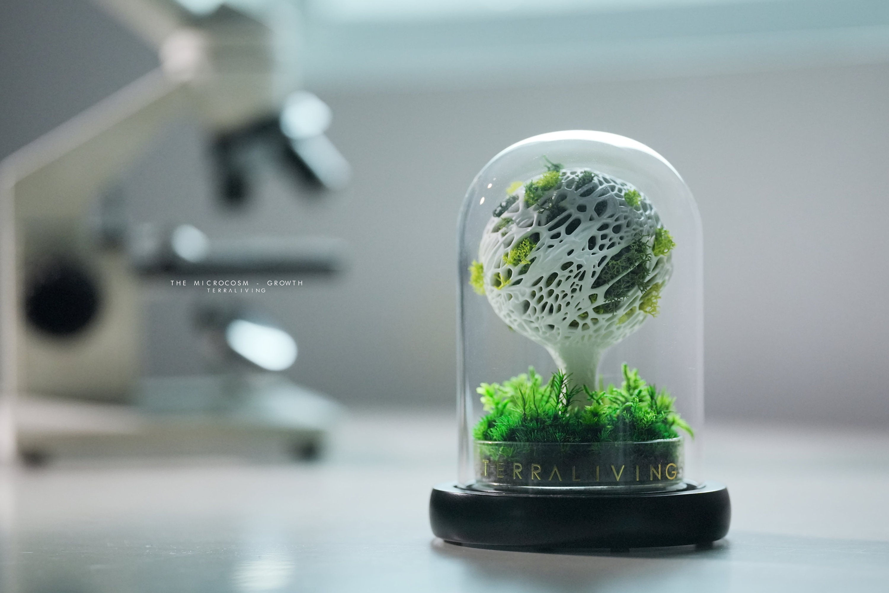 The Microcosm (S) - Growth, Mushroom Inspired 3D Printed Preserved Moss