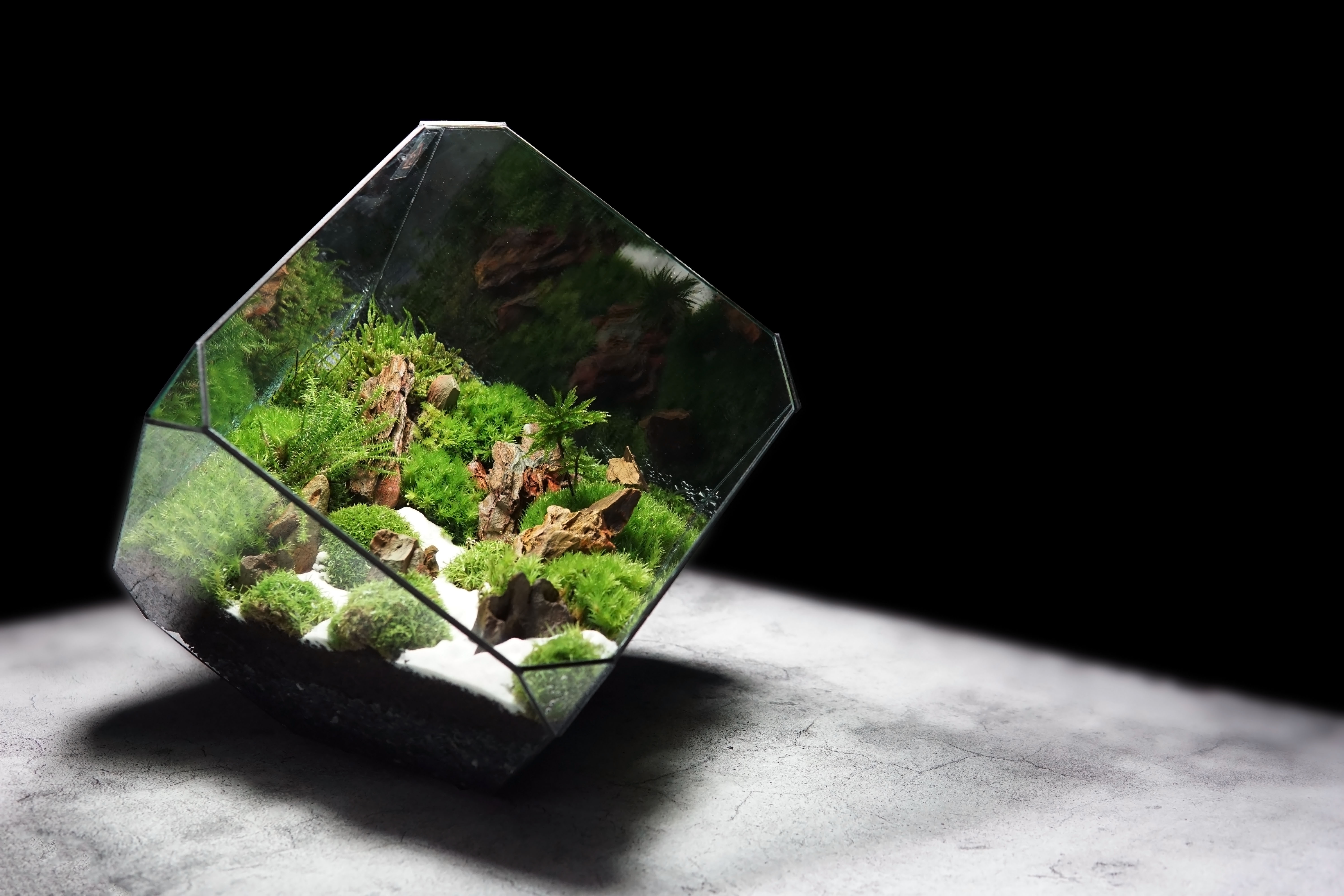 the EcoCube X