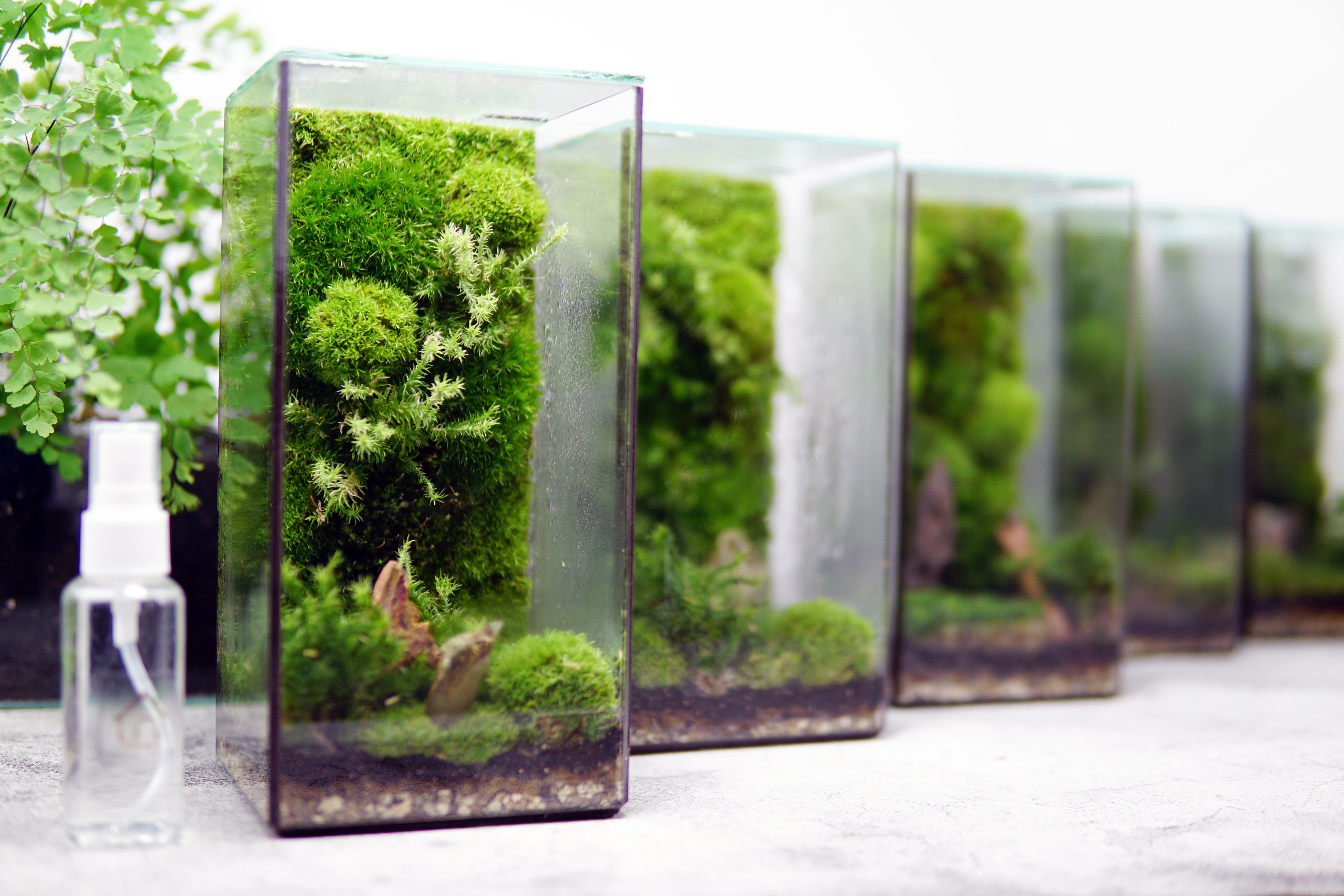 Pillar of Moss