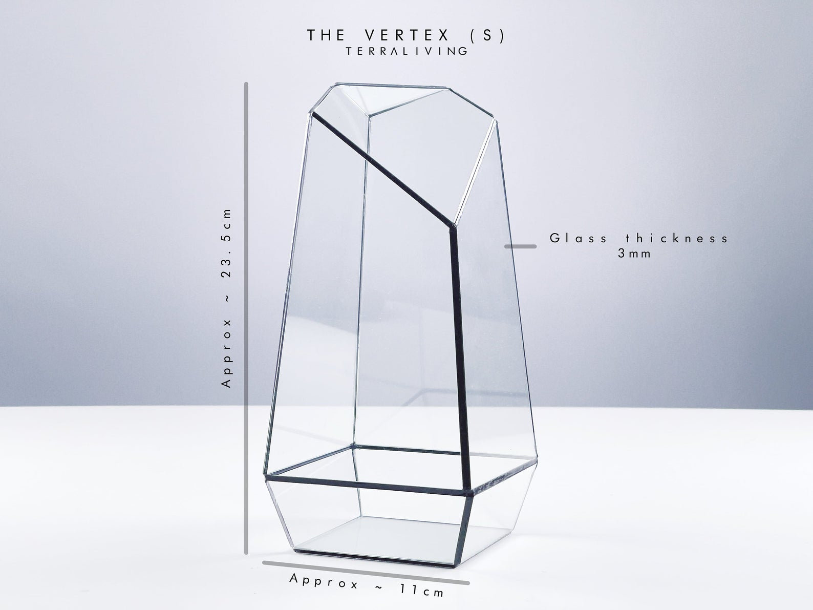 The Vertex Zero S Pure Moss Wall Terraliving Gallery