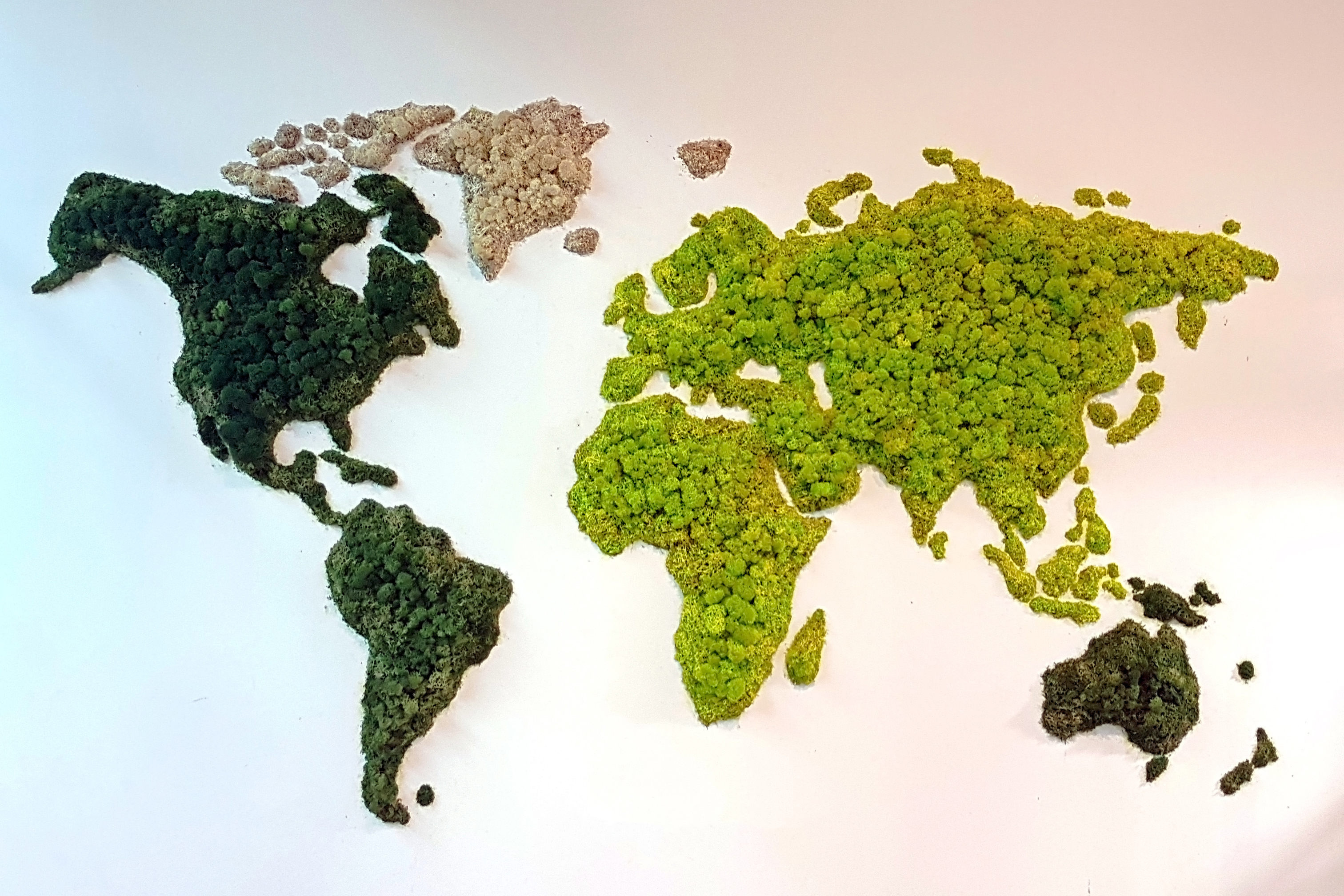 The World