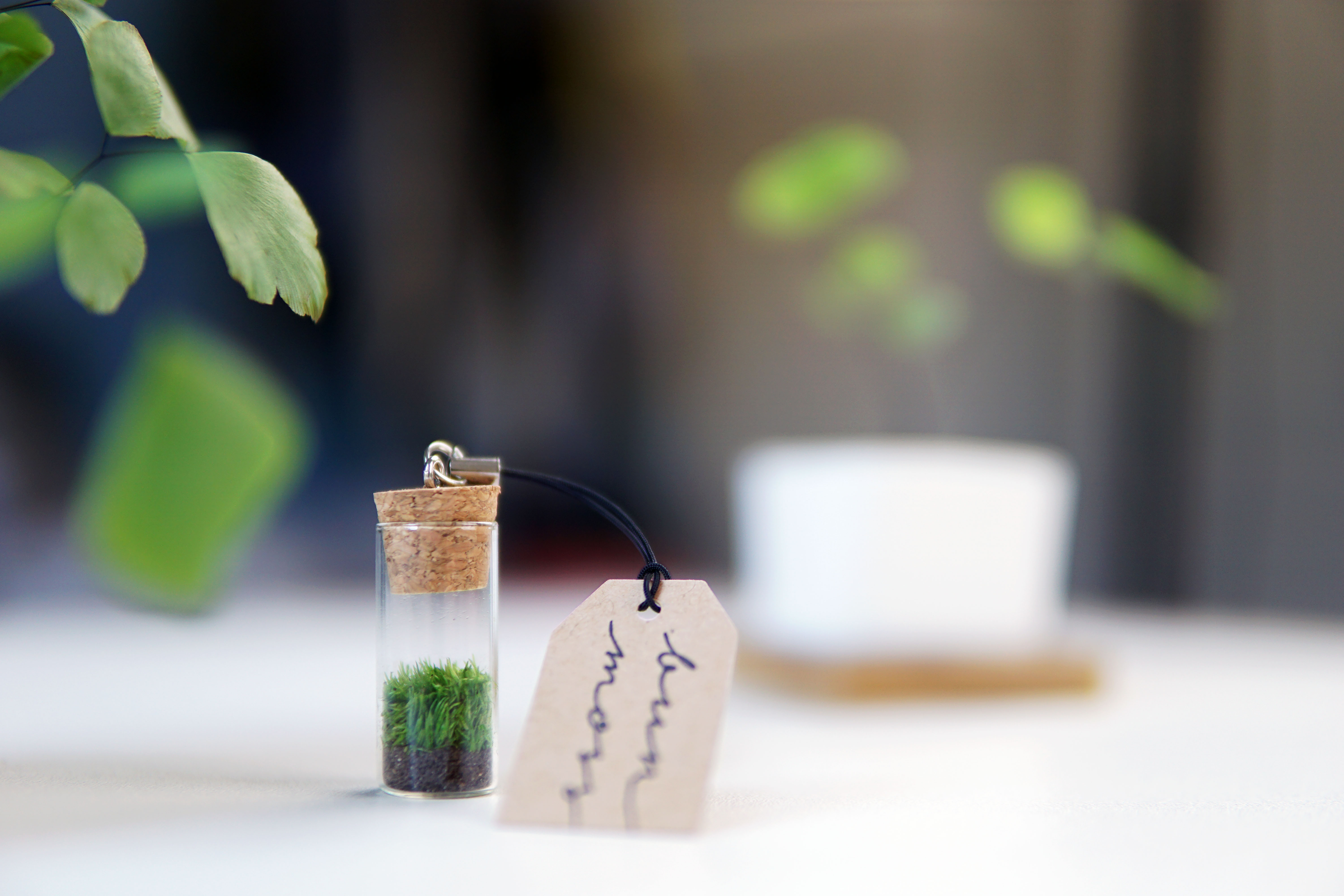the EcoTube Mini