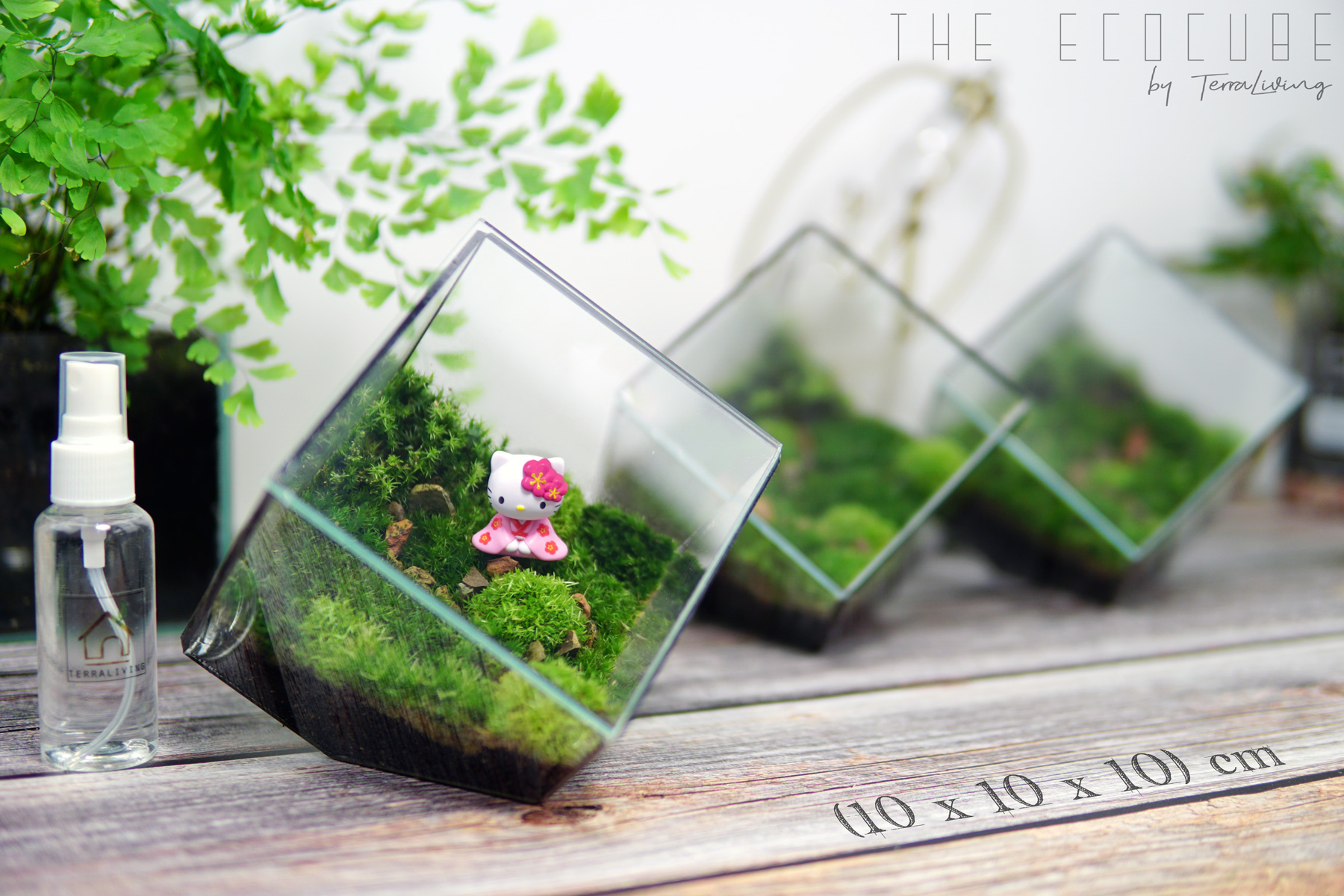 the EcoCube