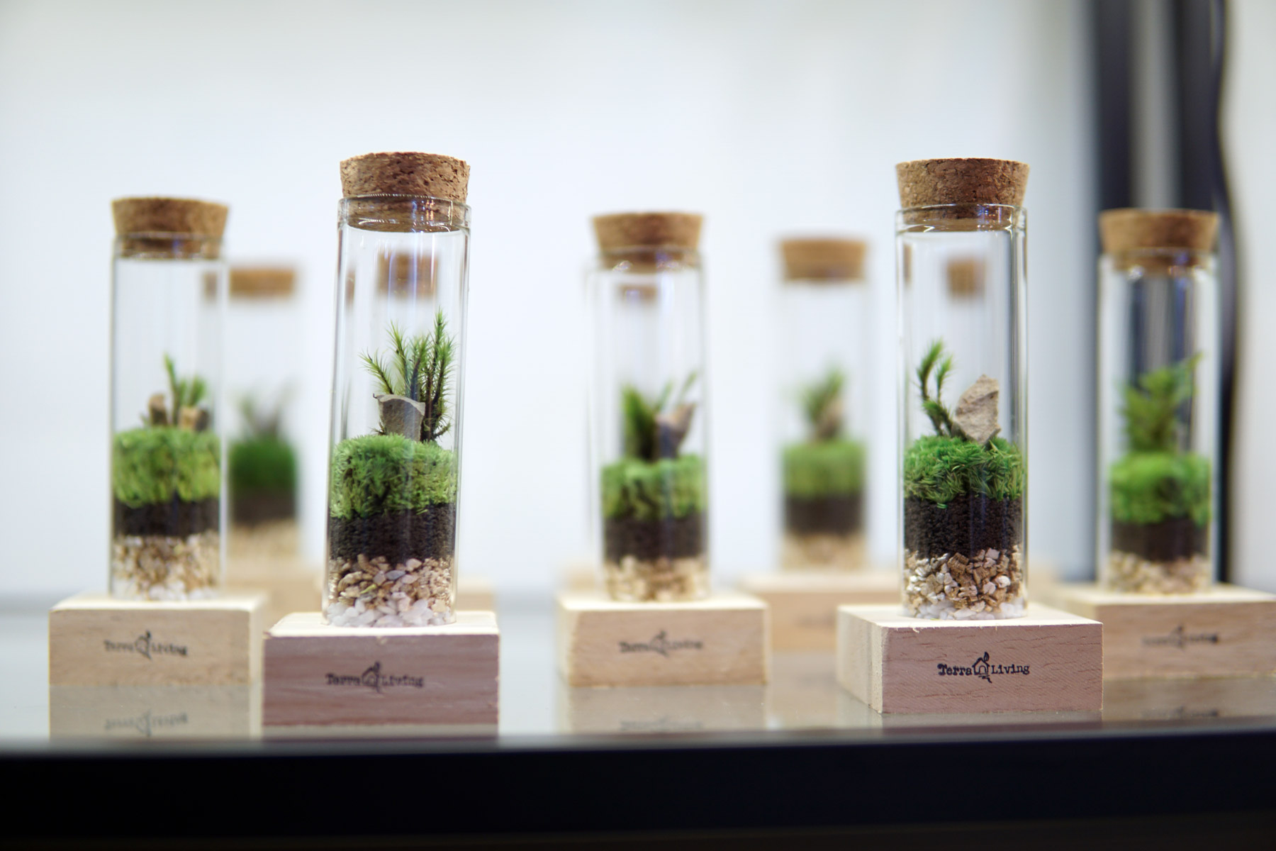the Ecotube 1.0