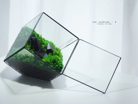 The EcoCube - R, 3d Printed Preserved Moss Terrarium by TerraLiving