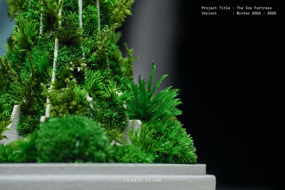 Thumbnail: Preserved Moss Terrarium: The Ice Fortress Winter 2024 - 2025 Edition