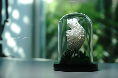 The Bio-Heart, Sculptural Organic Structure Preserved Moss