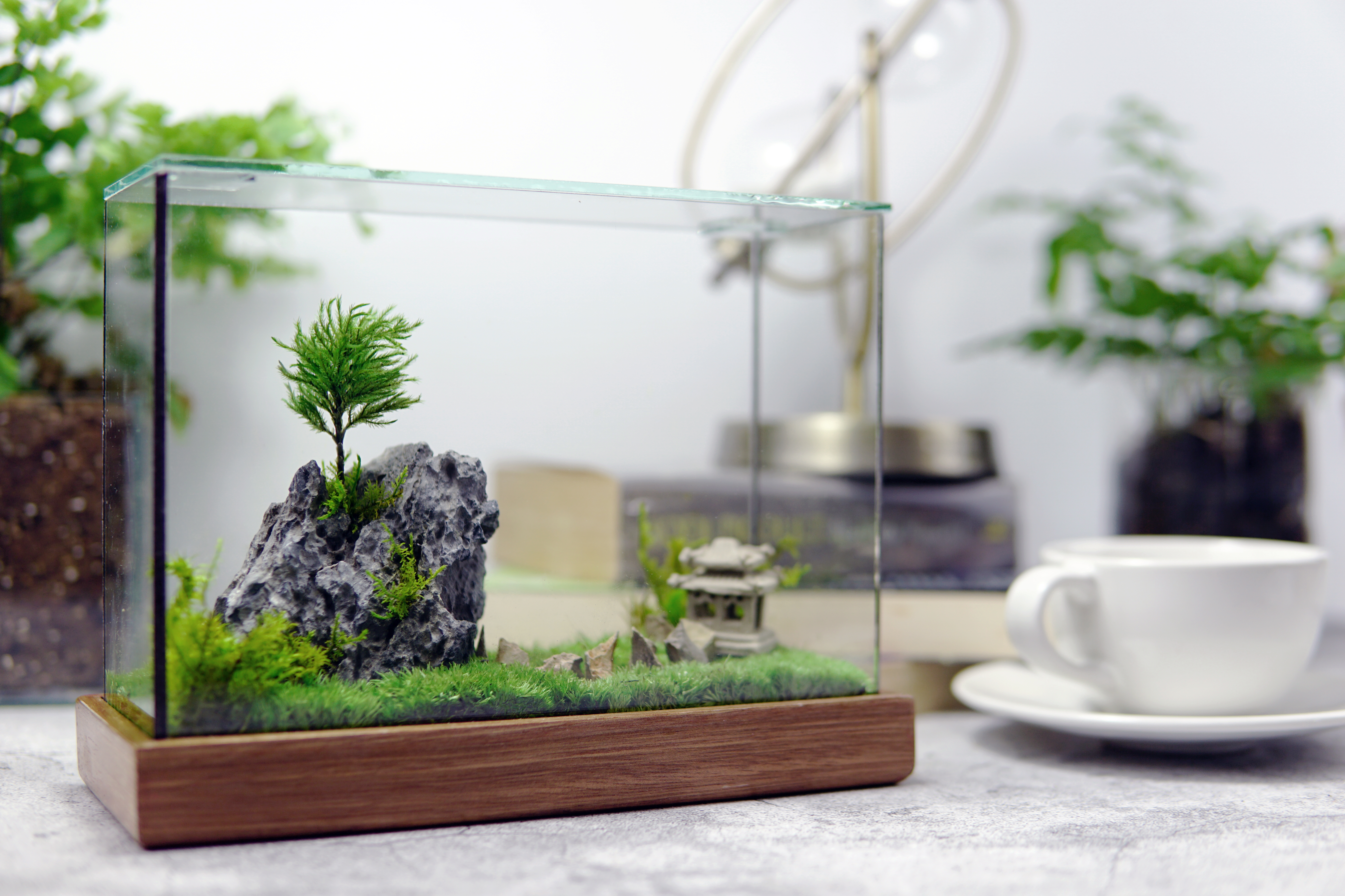 Moss Box ZERO