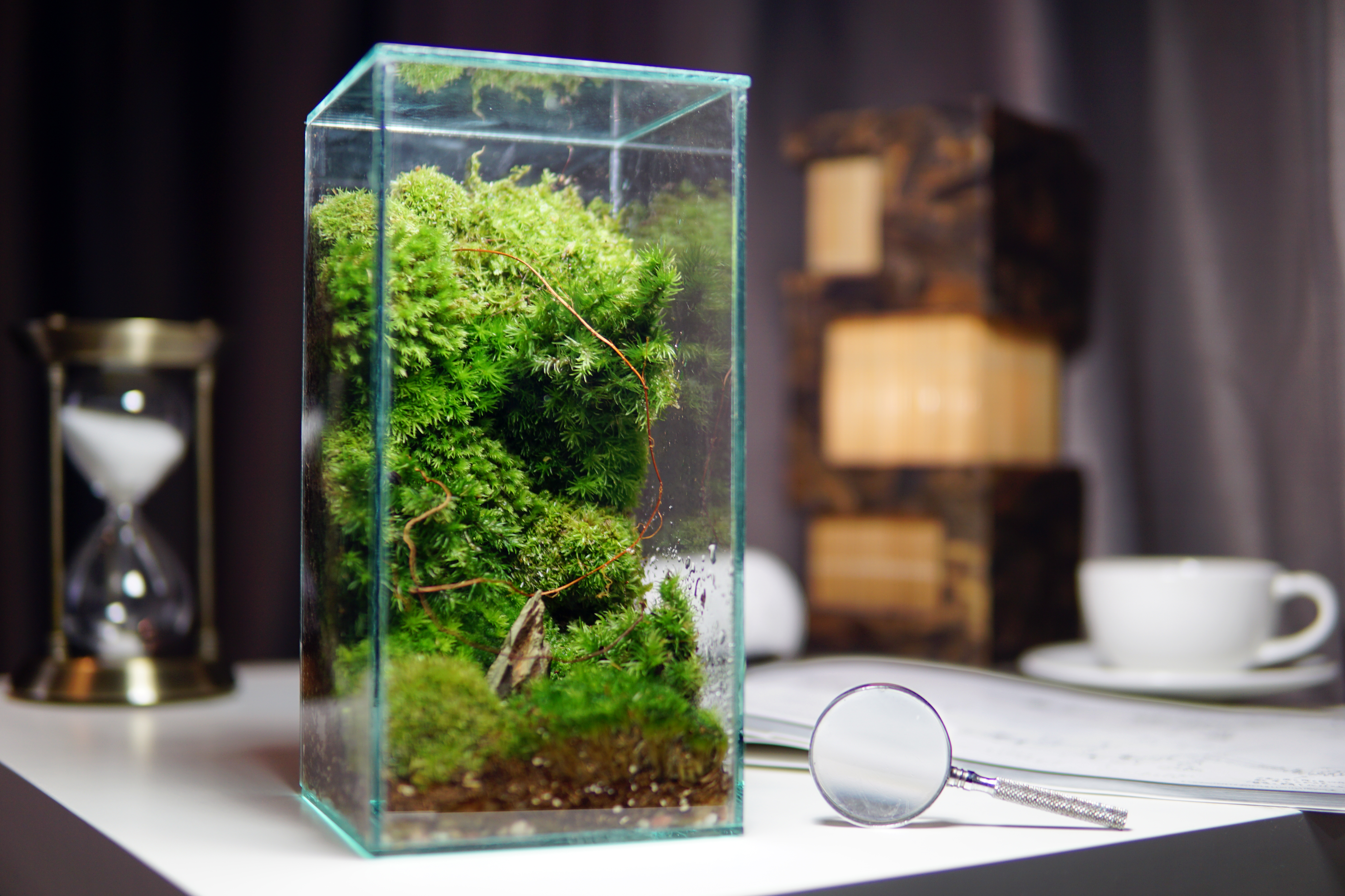 Pillar of Moss