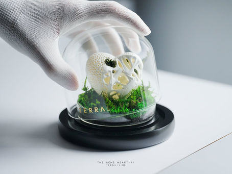 Exploring Love's Timeless Beauty: Bone-Heart II (2023) Desktop-Sized Sculpture by TerraLiving