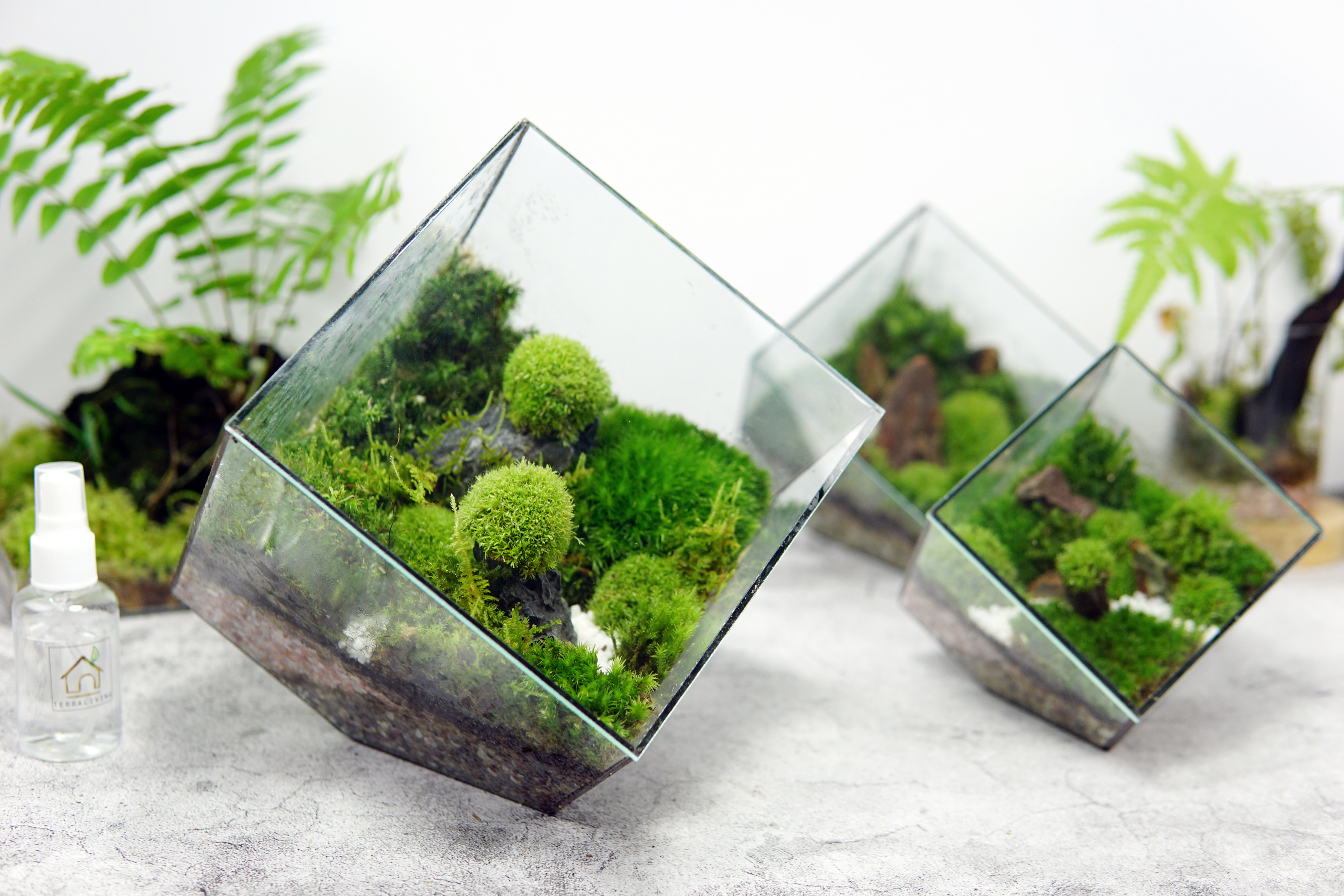 the EcoCube