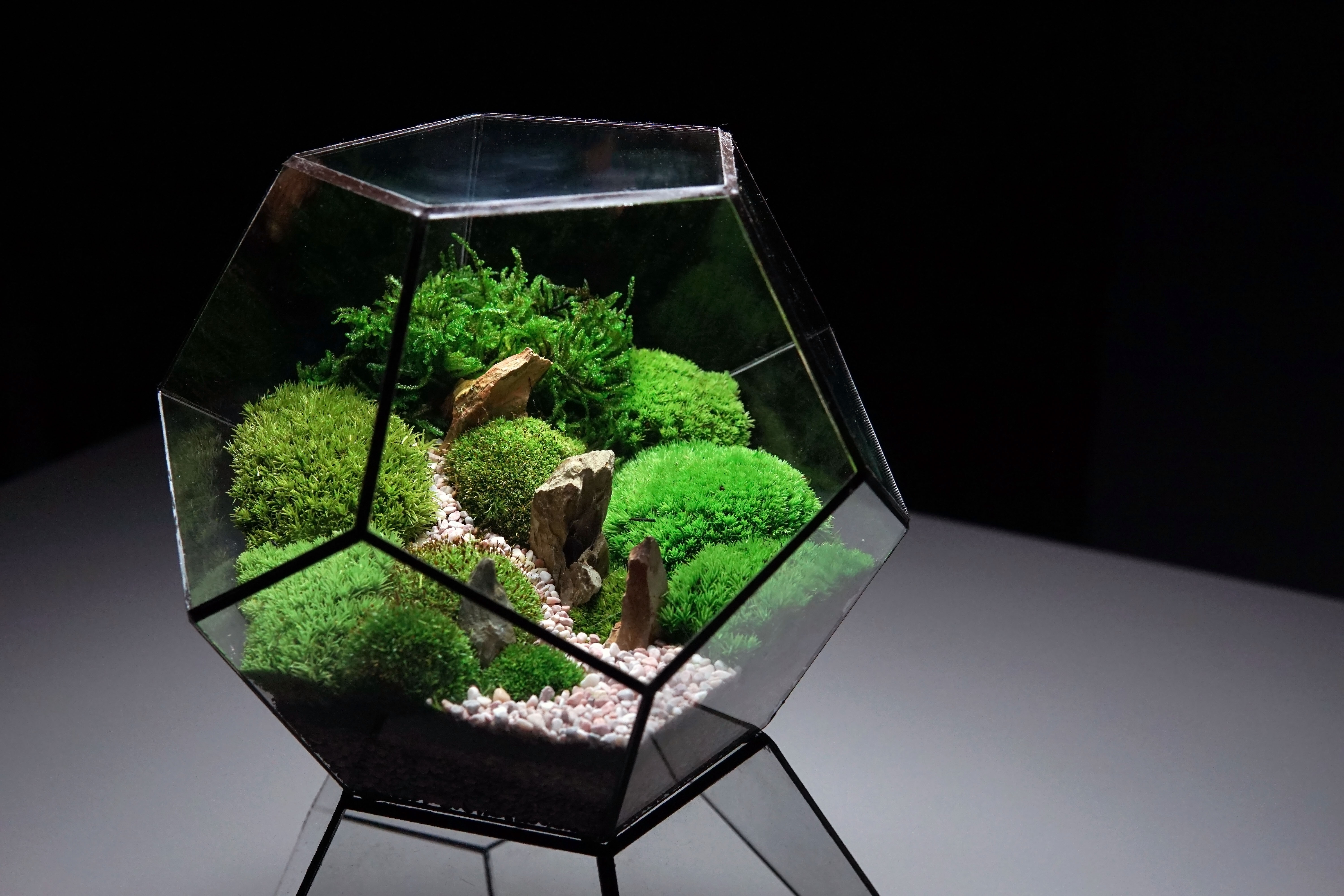 the TerraGeometry ZERO