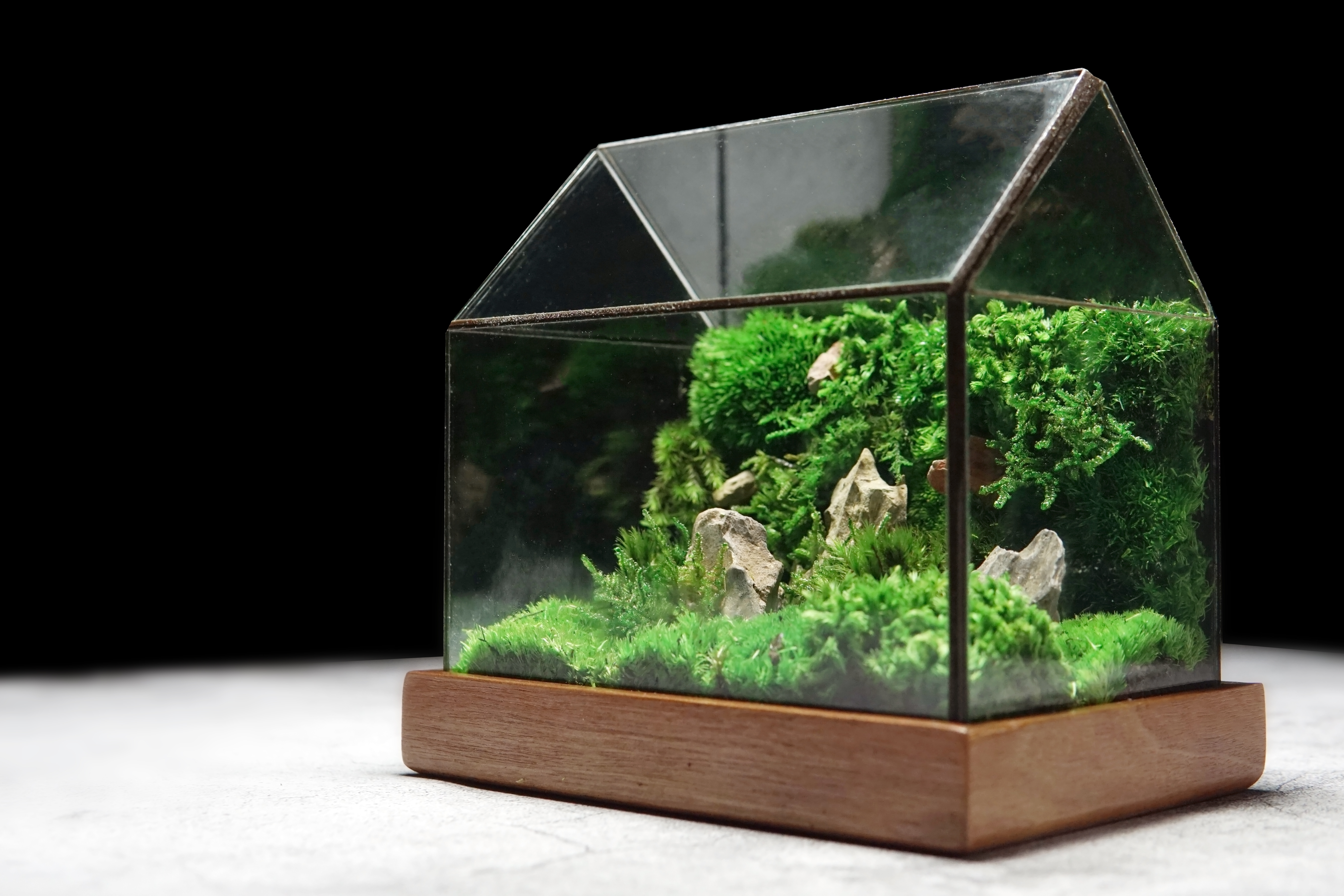 the GreenHouse