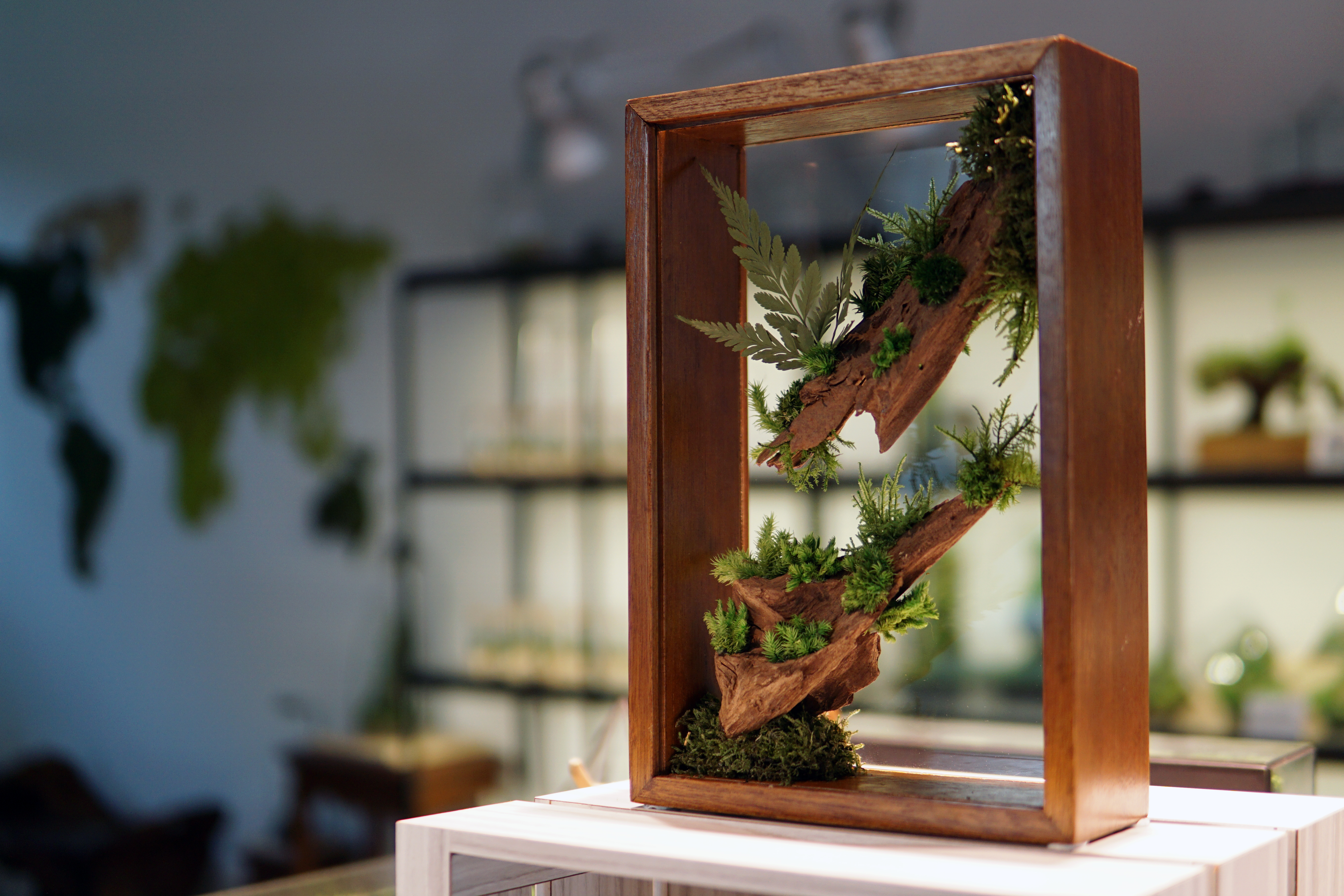 the Herbarium