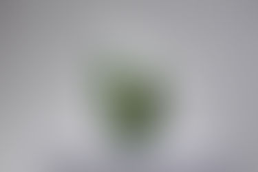 The Time Crystal 2025 - Memories of Nature