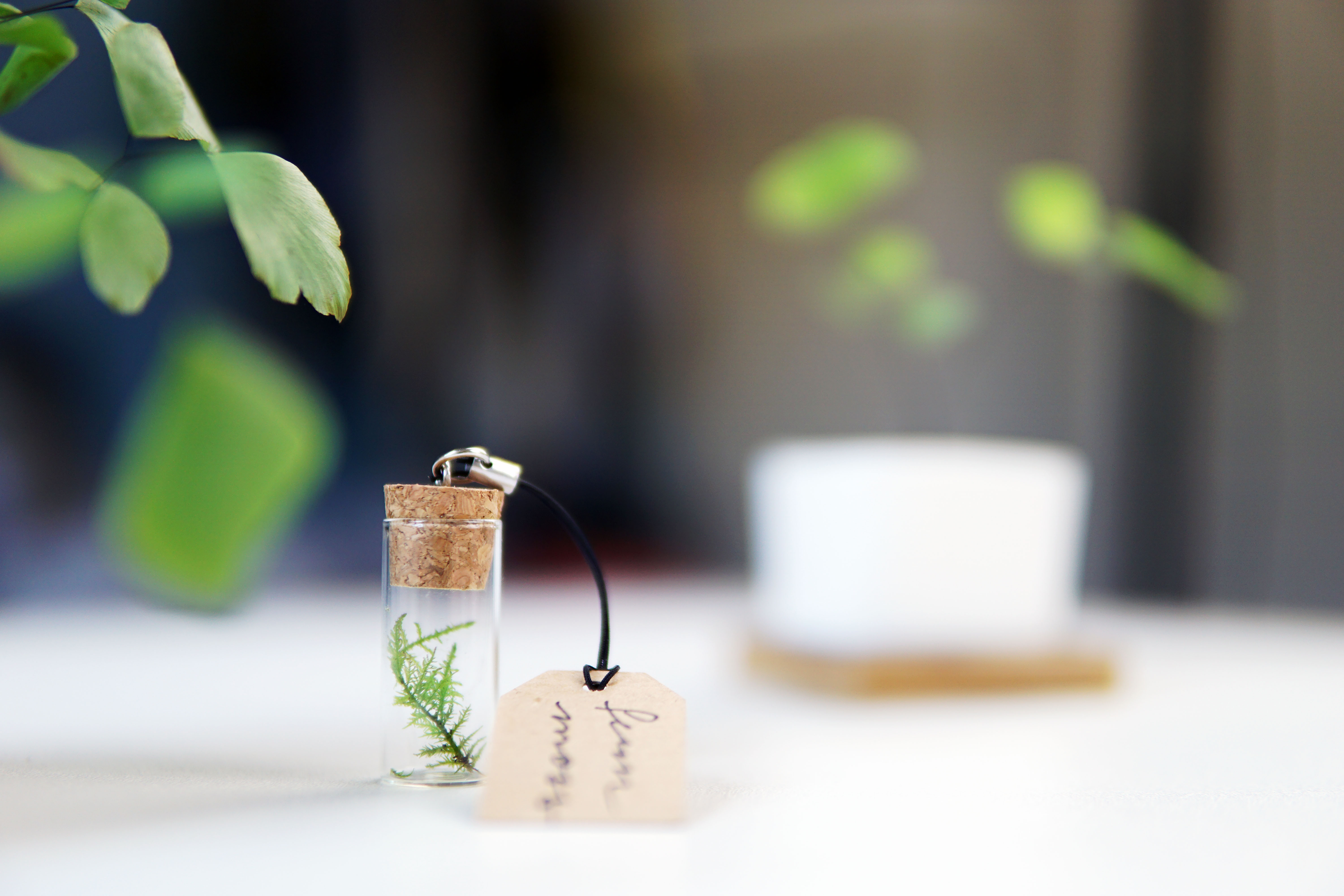 the EcoTube Mini