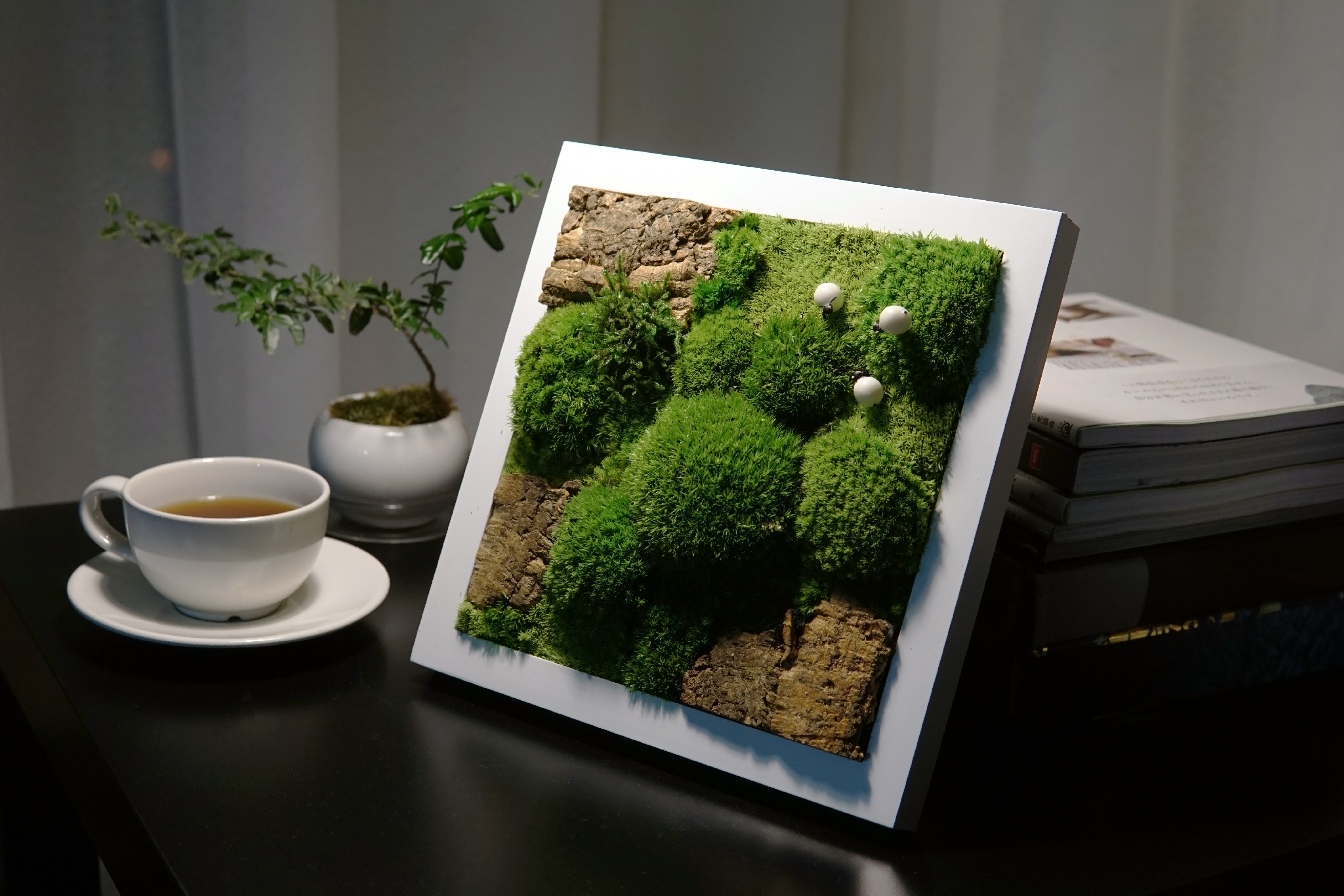 Moss Frame ZERO