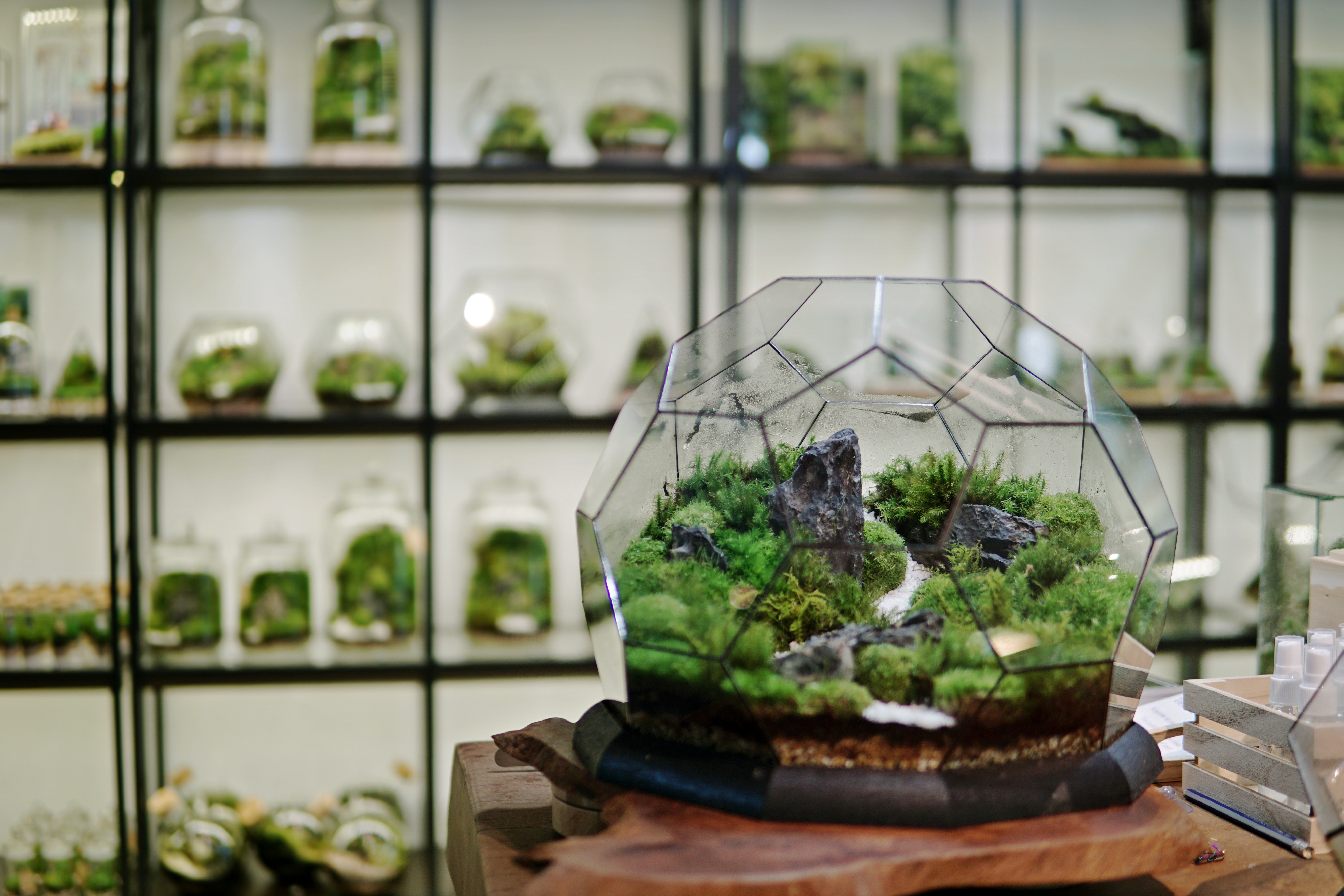 the TerraDome