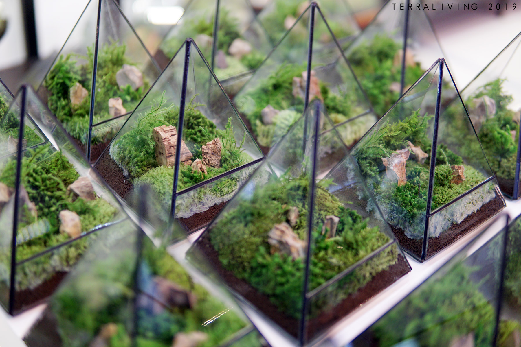 Mossy Pyramid ZERO