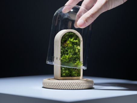 CryoMoss Collection - Early Access Live Moss Terrarium Guide