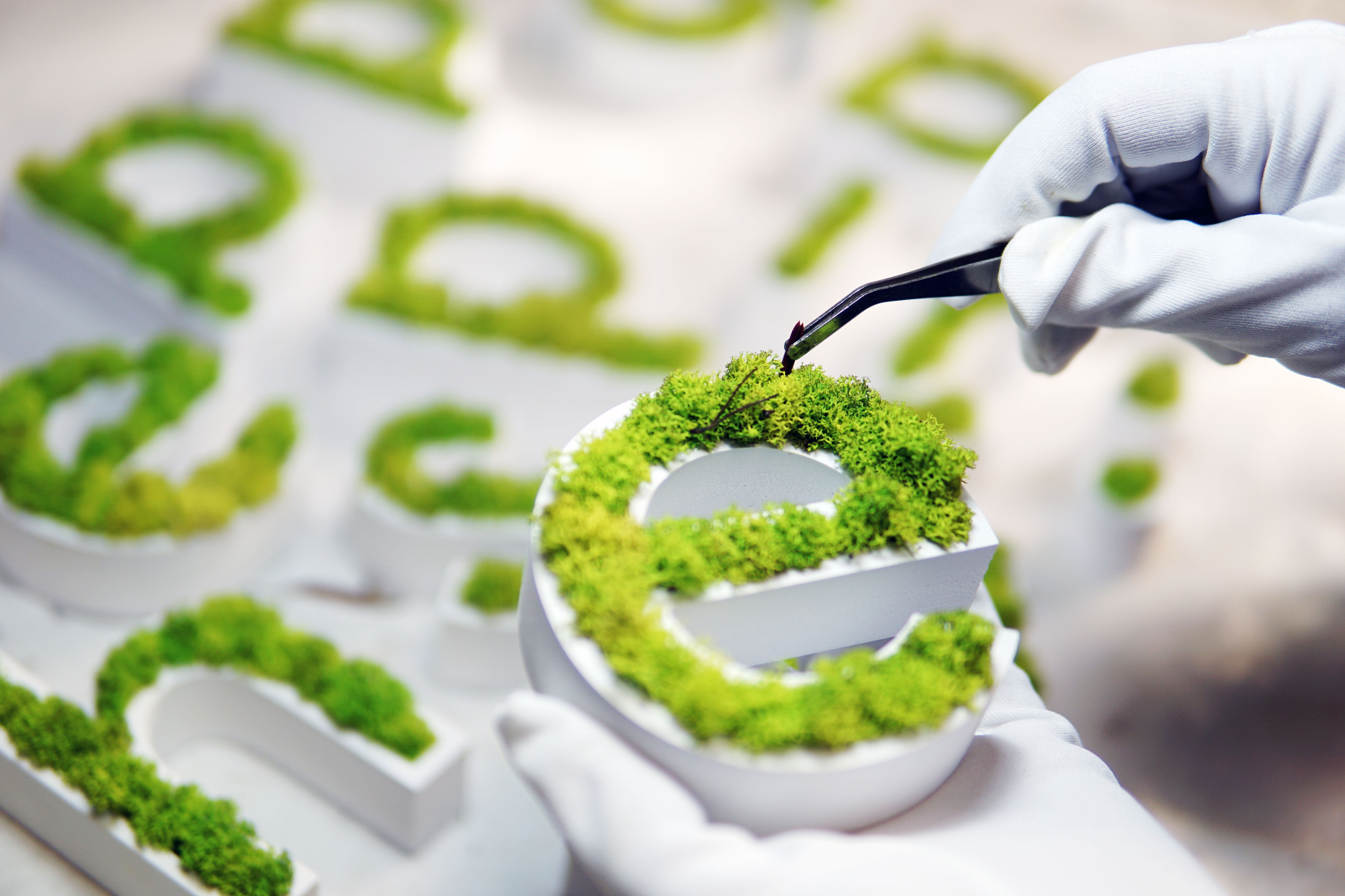 Moss Branding