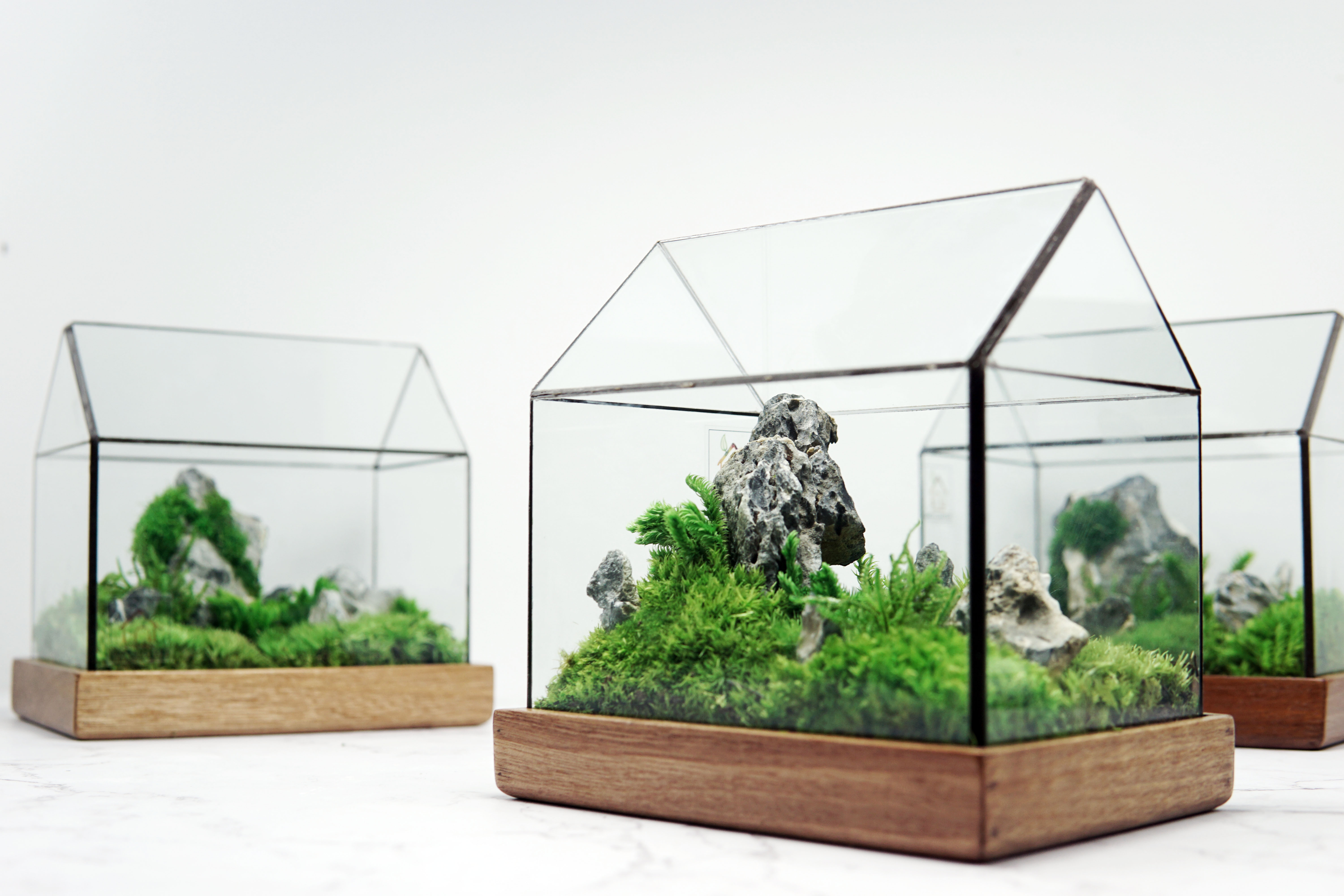 the GreenHouse