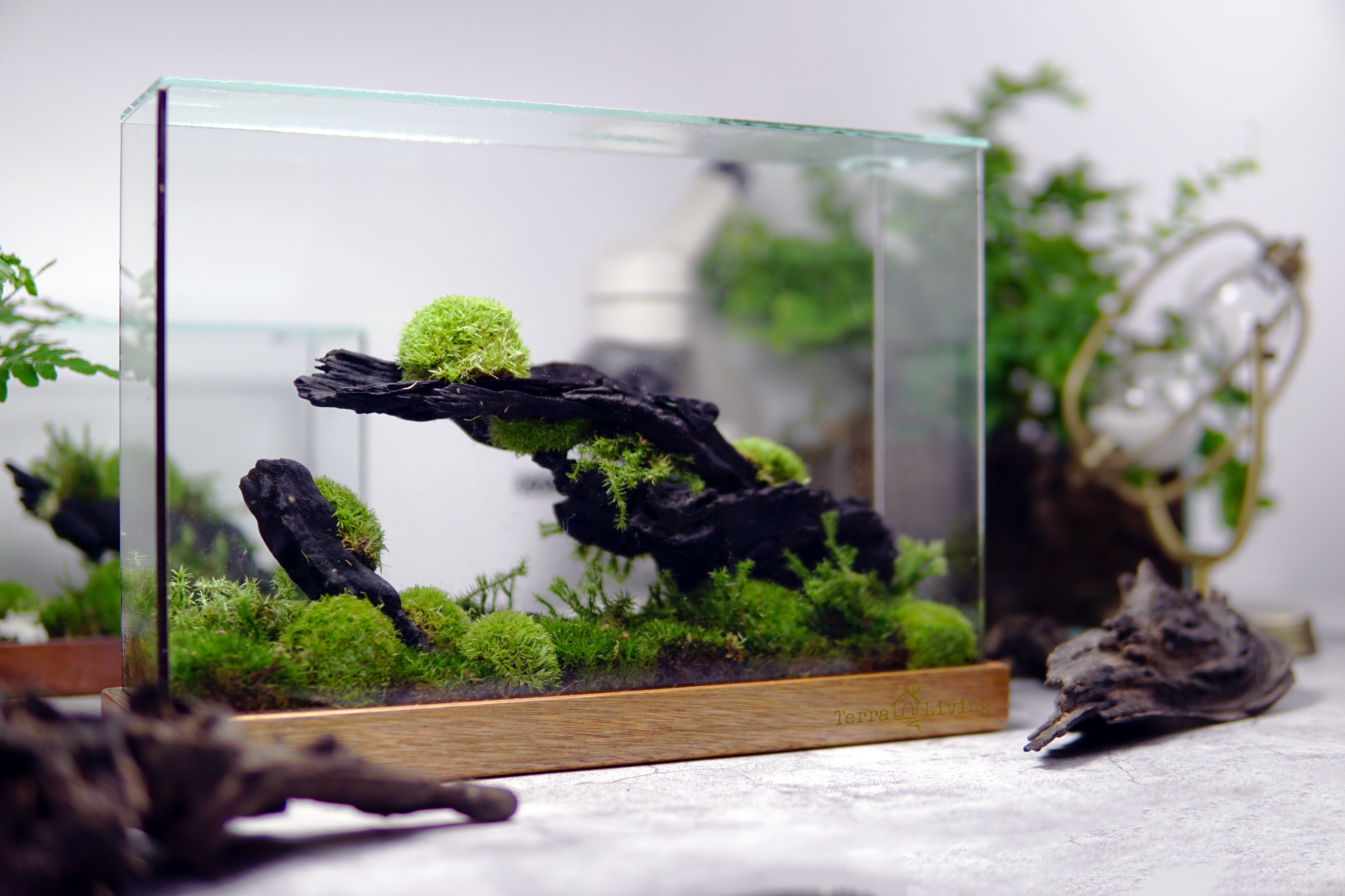 Moss Box ZERO