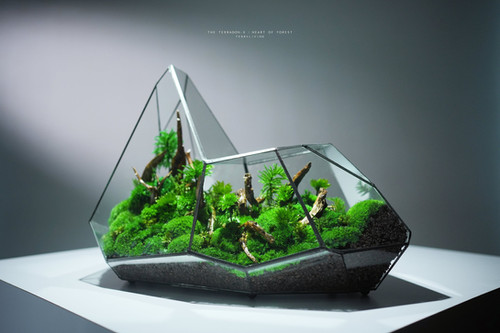 The Terragon - X ZERO, Heart of Forest, Preserved Moss Terrarium