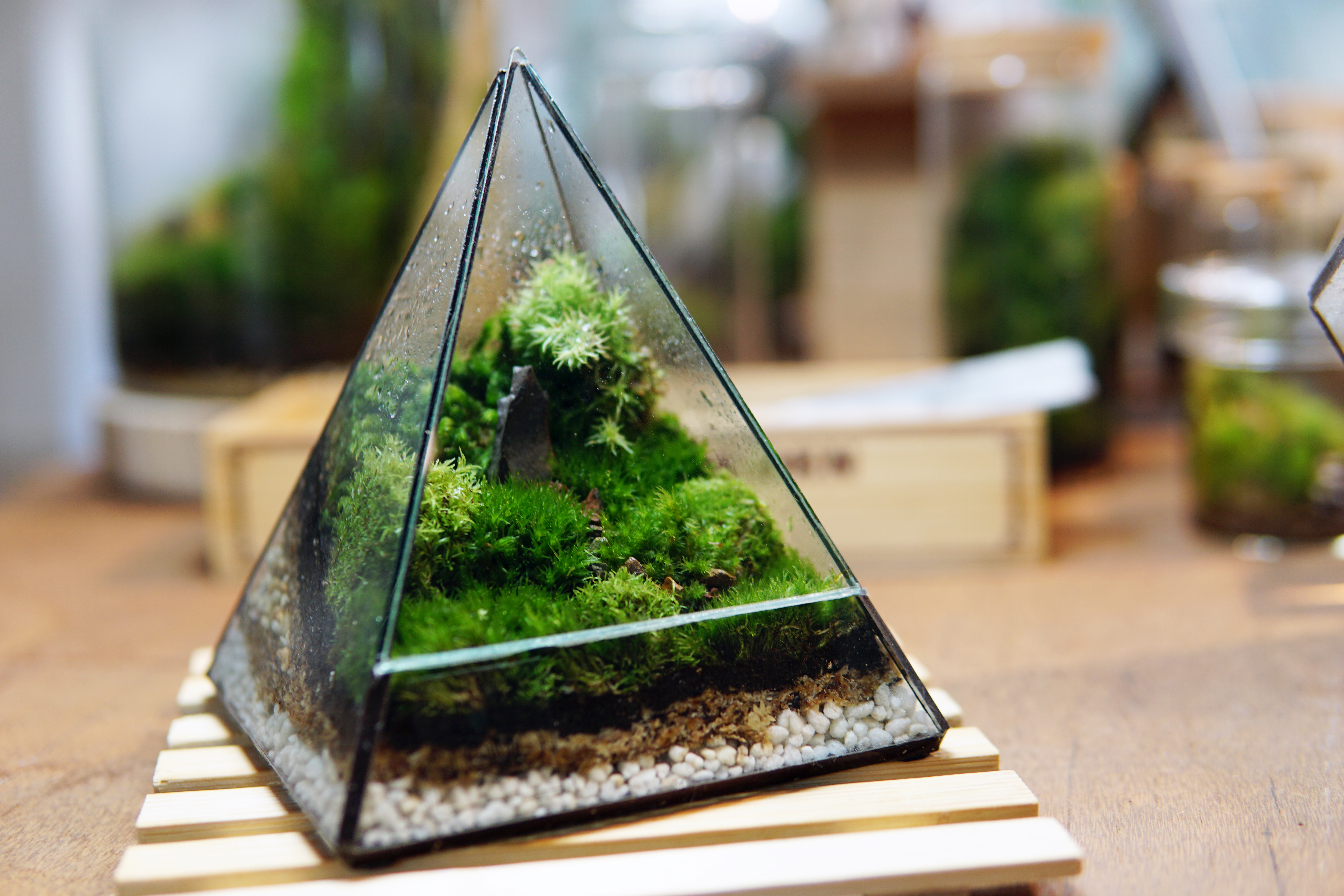 Mossy Pyramid